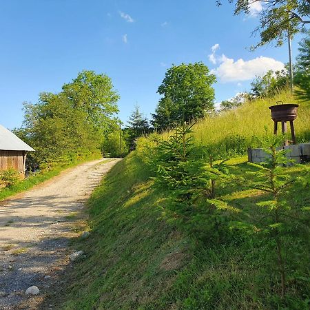 Cabana Valea Lui Mas Robaia Экстерьер фото