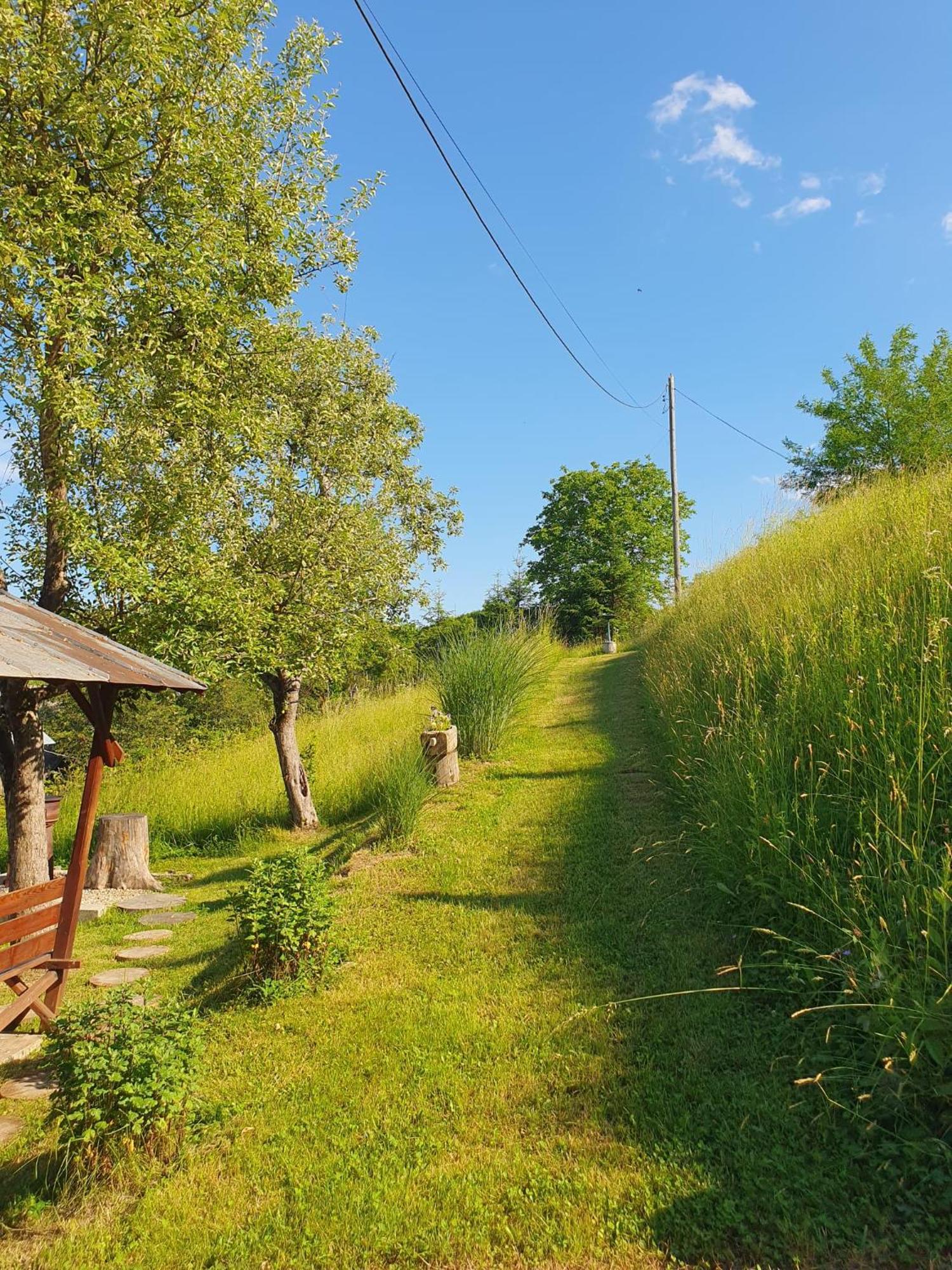 Cabana Valea Lui Mas Robaia Экстерьер фото
