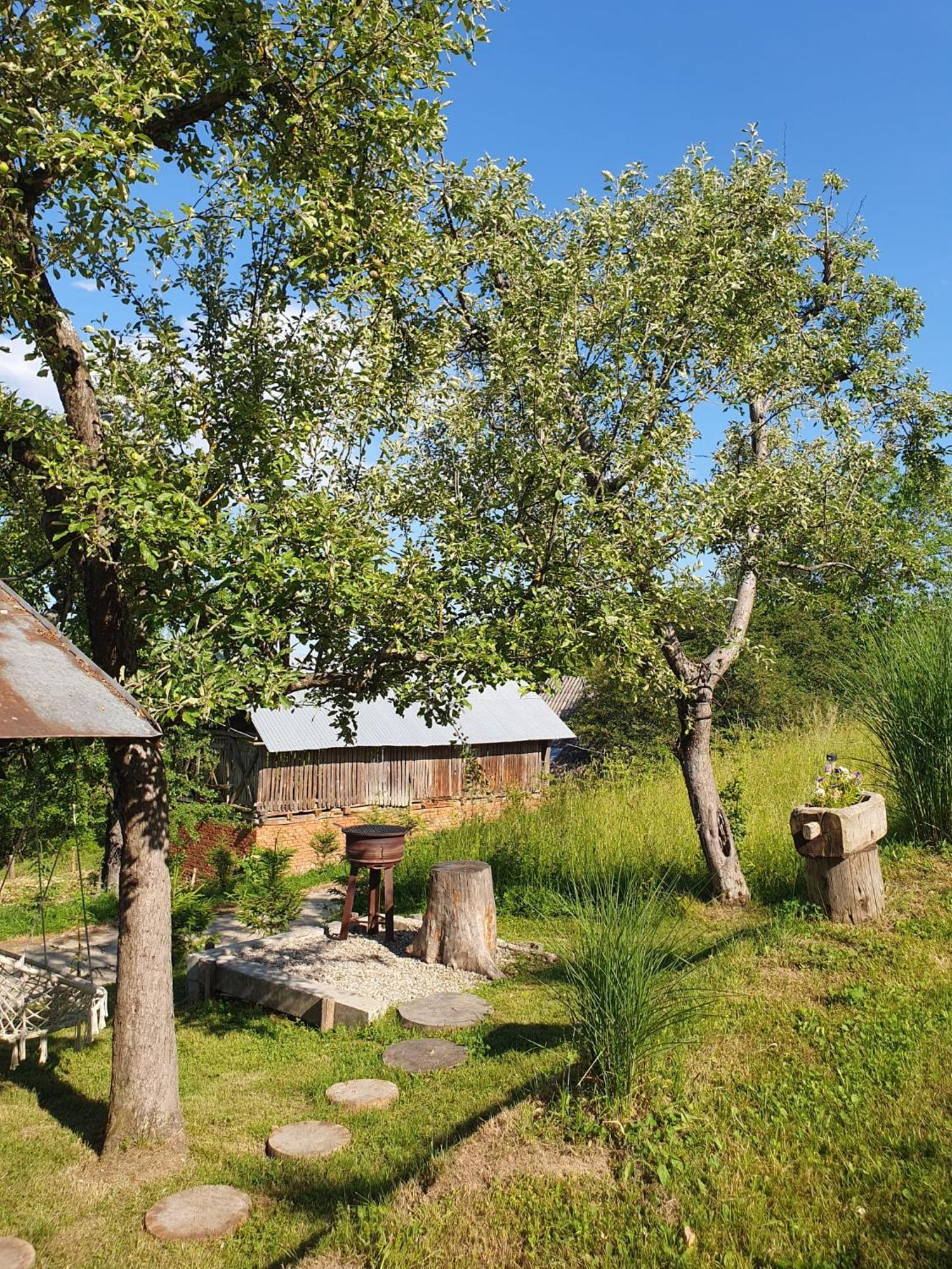 Cabana Valea Lui Mas Robaia Экстерьер фото