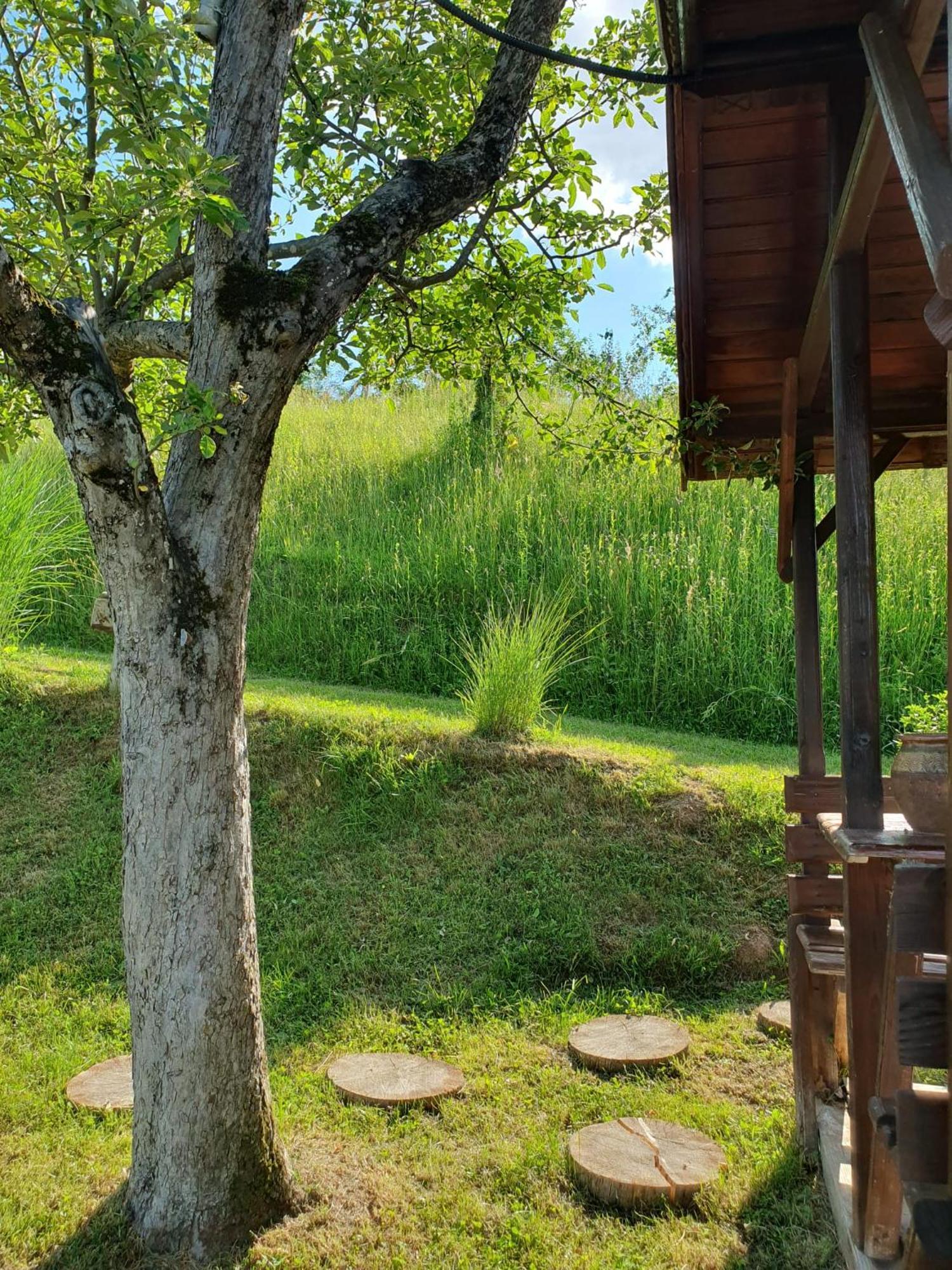 Cabana Valea Lui Mas Robaia Экстерьер фото