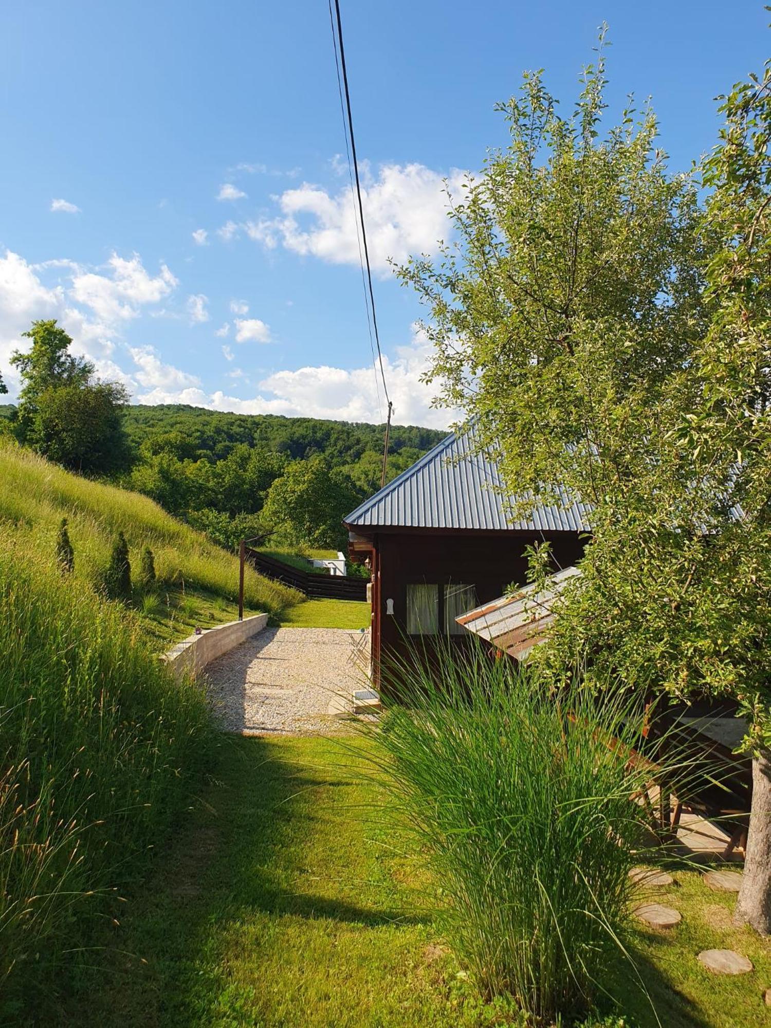 Cabana Valea Lui Mas Robaia Экстерьер фото