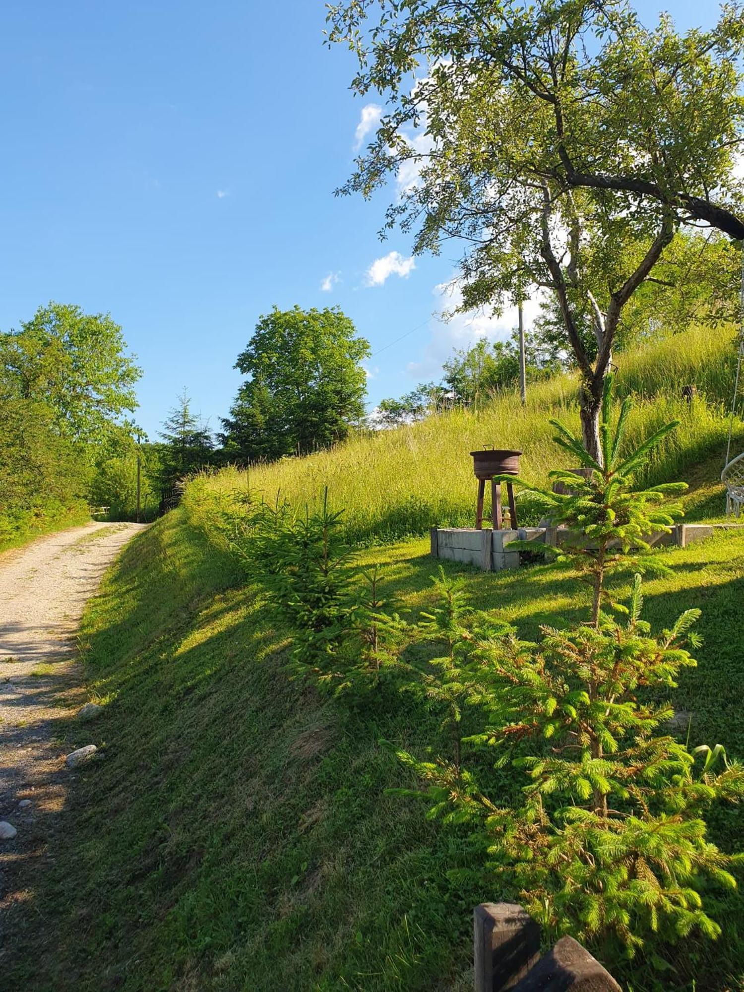Cabana Valea Lui Mas Robaia Экстерьер фото