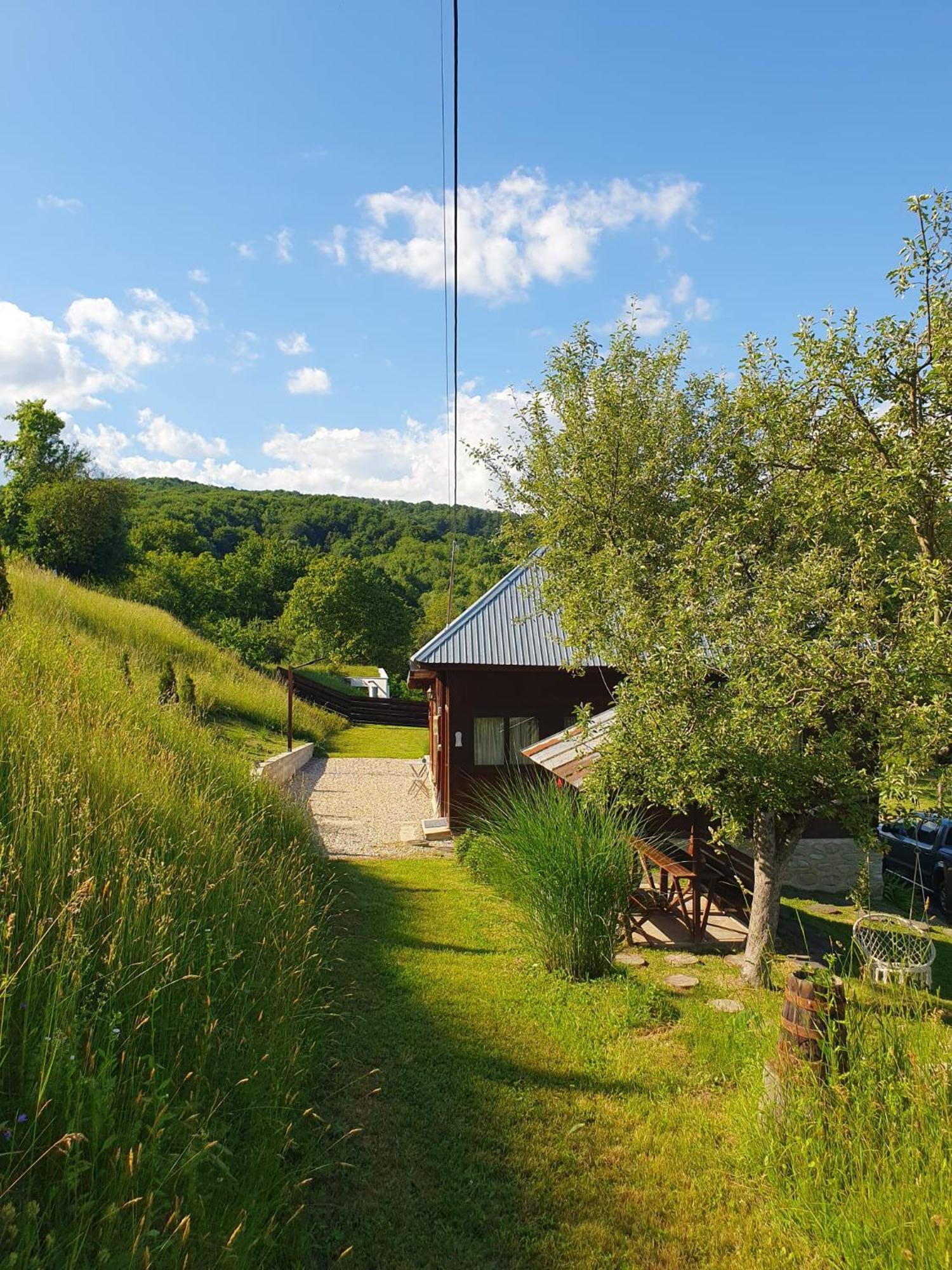 Cabana Valea Lui Mas Robaia Экстерьер фото