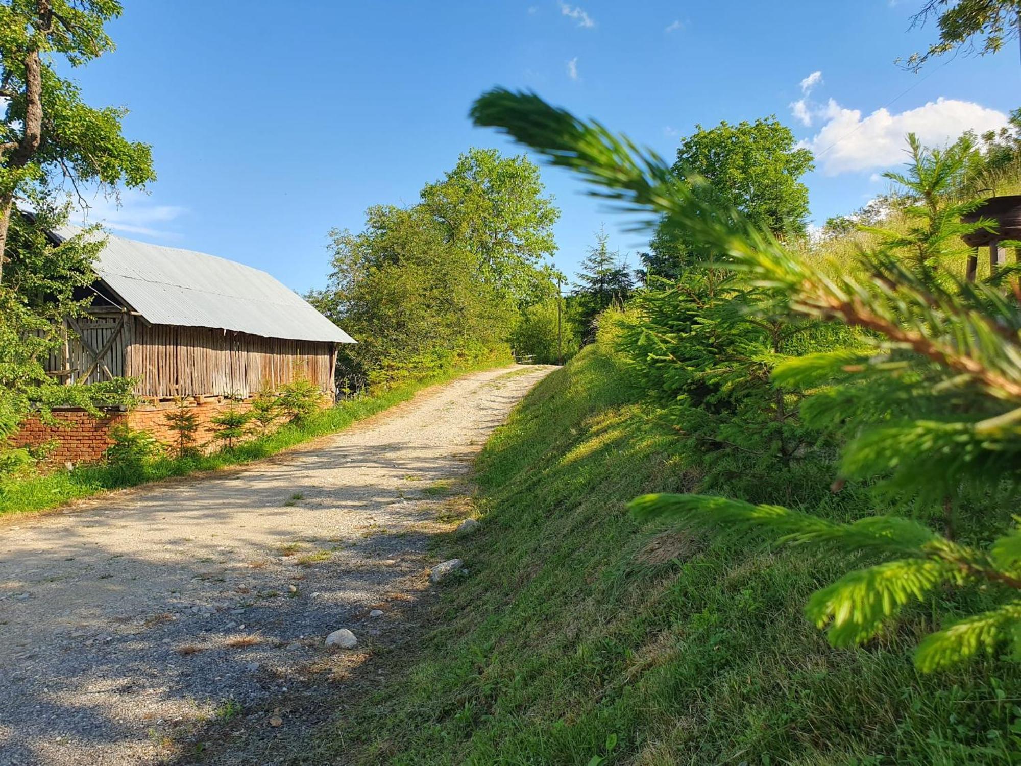 Cabana Valea Lui Mas Robaia Экстерьер фото