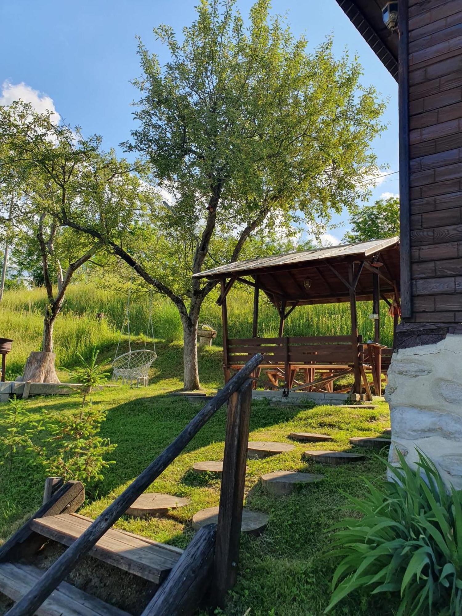 Cabana Valea Lui Mas Robaia Экстерьер фото