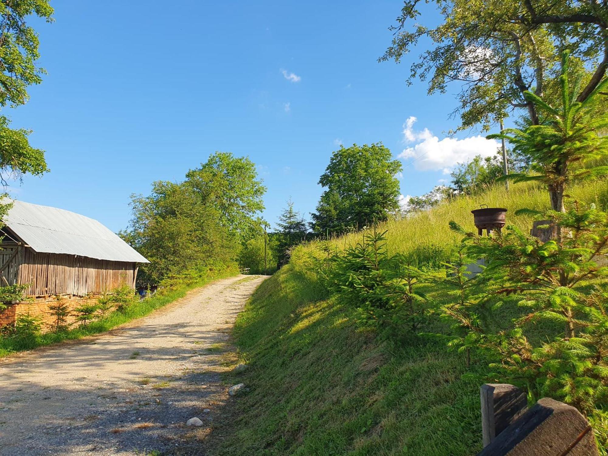 Cabana Valea Lui Mas Robaia Экстерьер фото