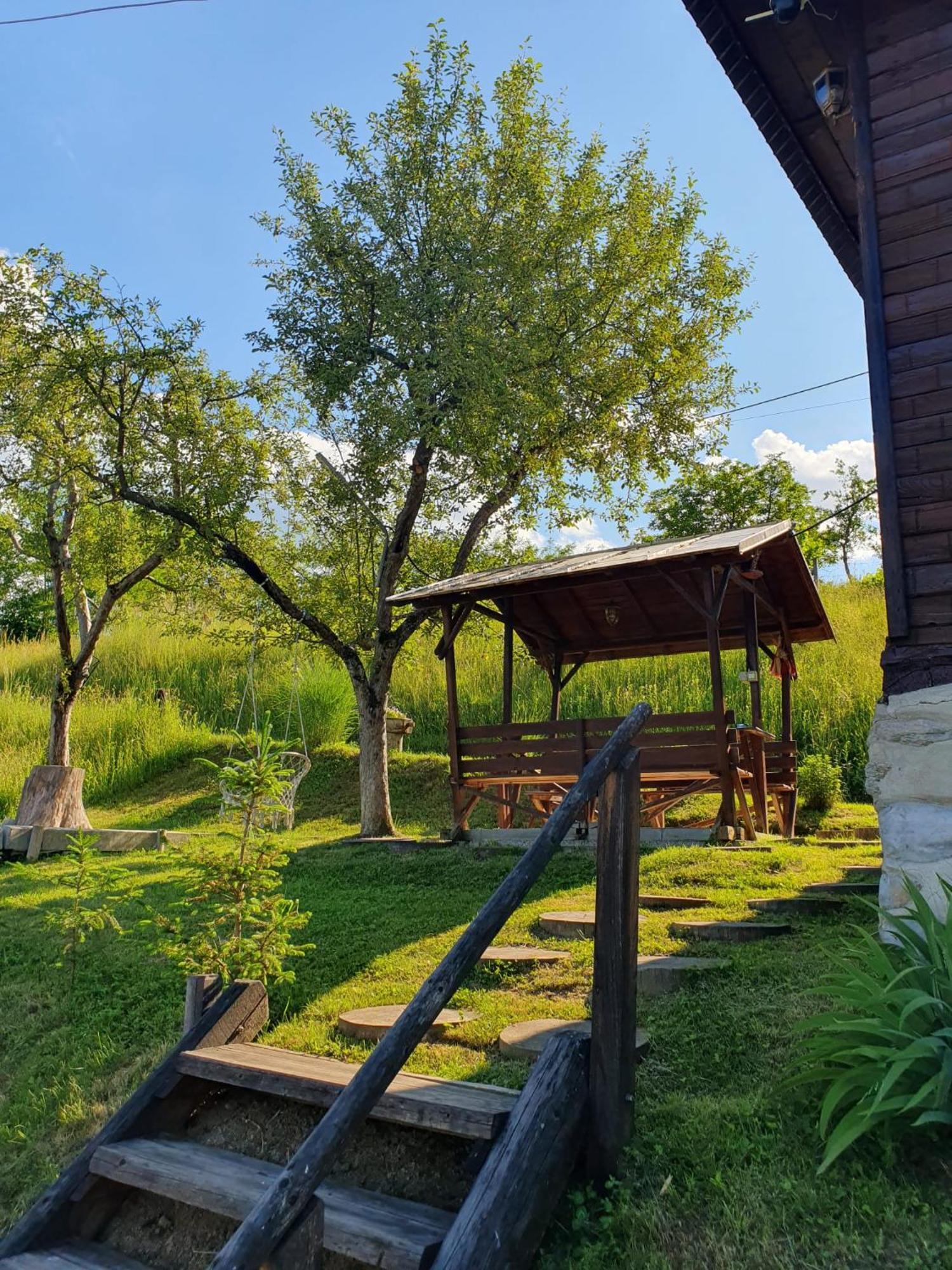 Cabana Valea Lui Mas Robaia Экстерьер фото
