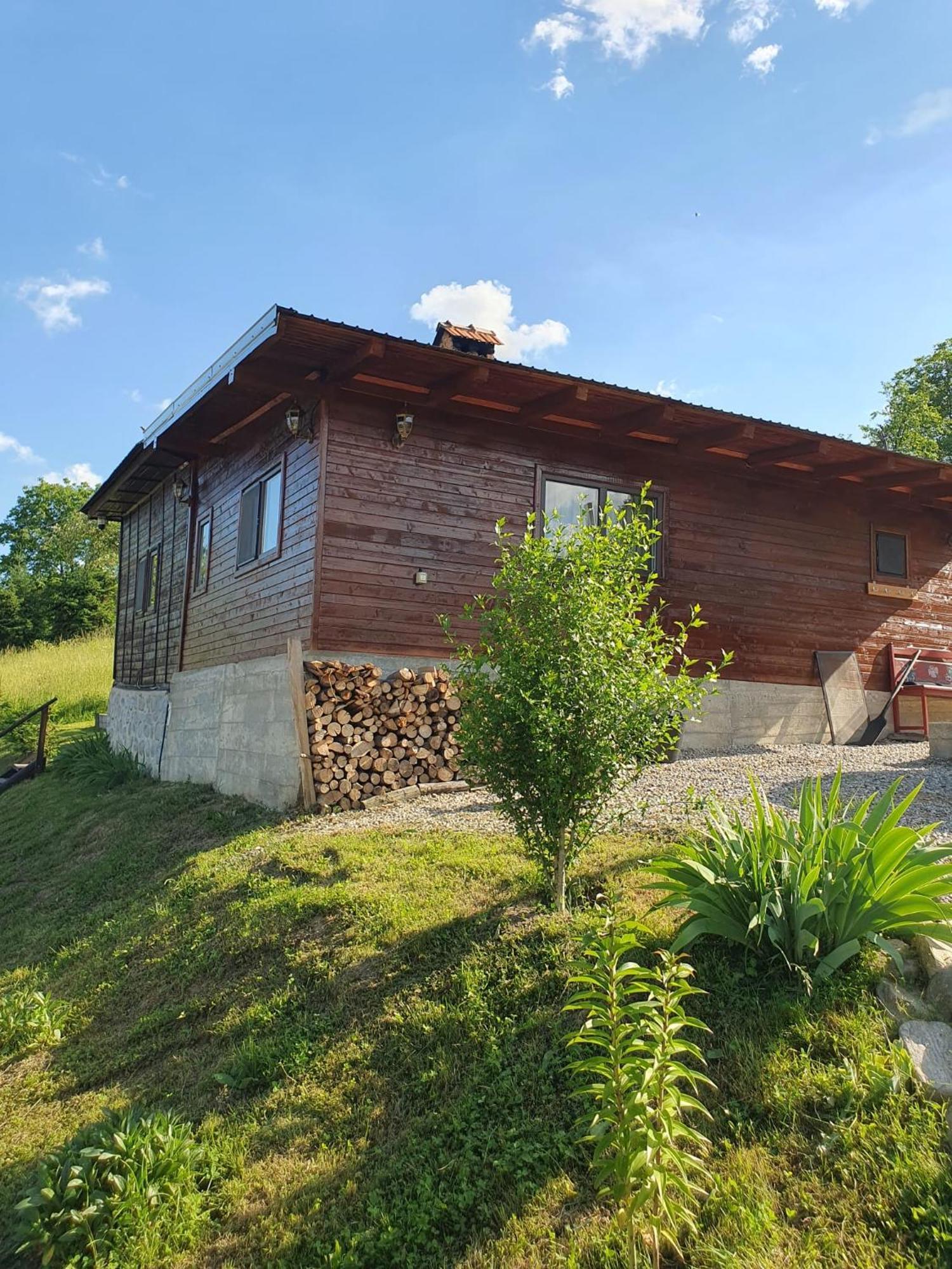 Cabana Valea Lui Mas Robaia Экстерьер фото