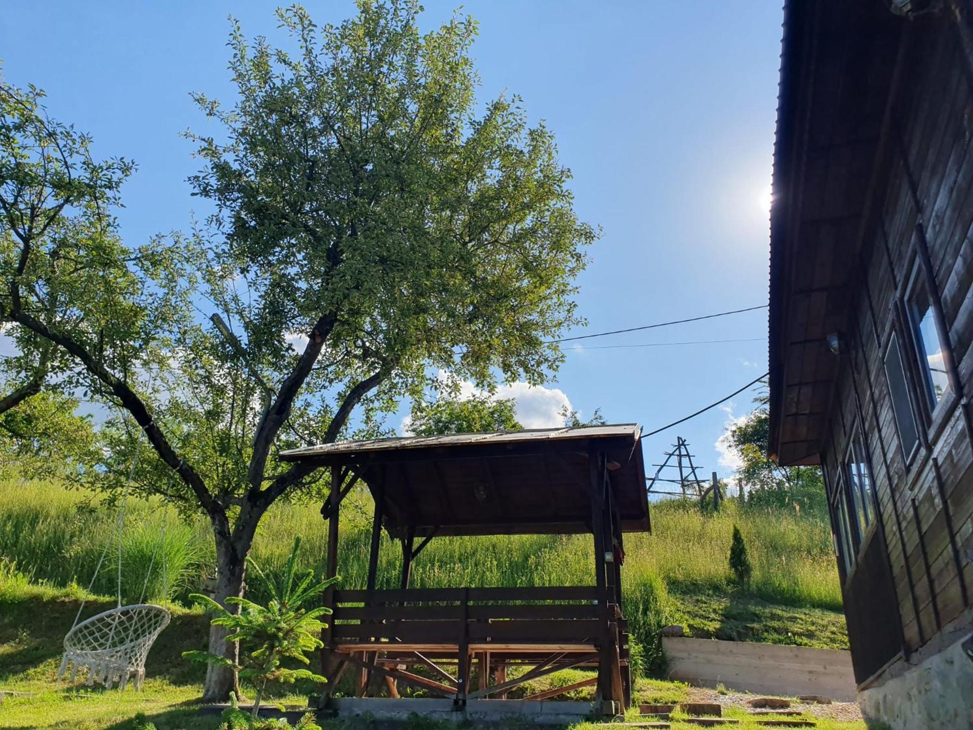 Cabana Valea Lui Mas Robaia Экстерьер фото