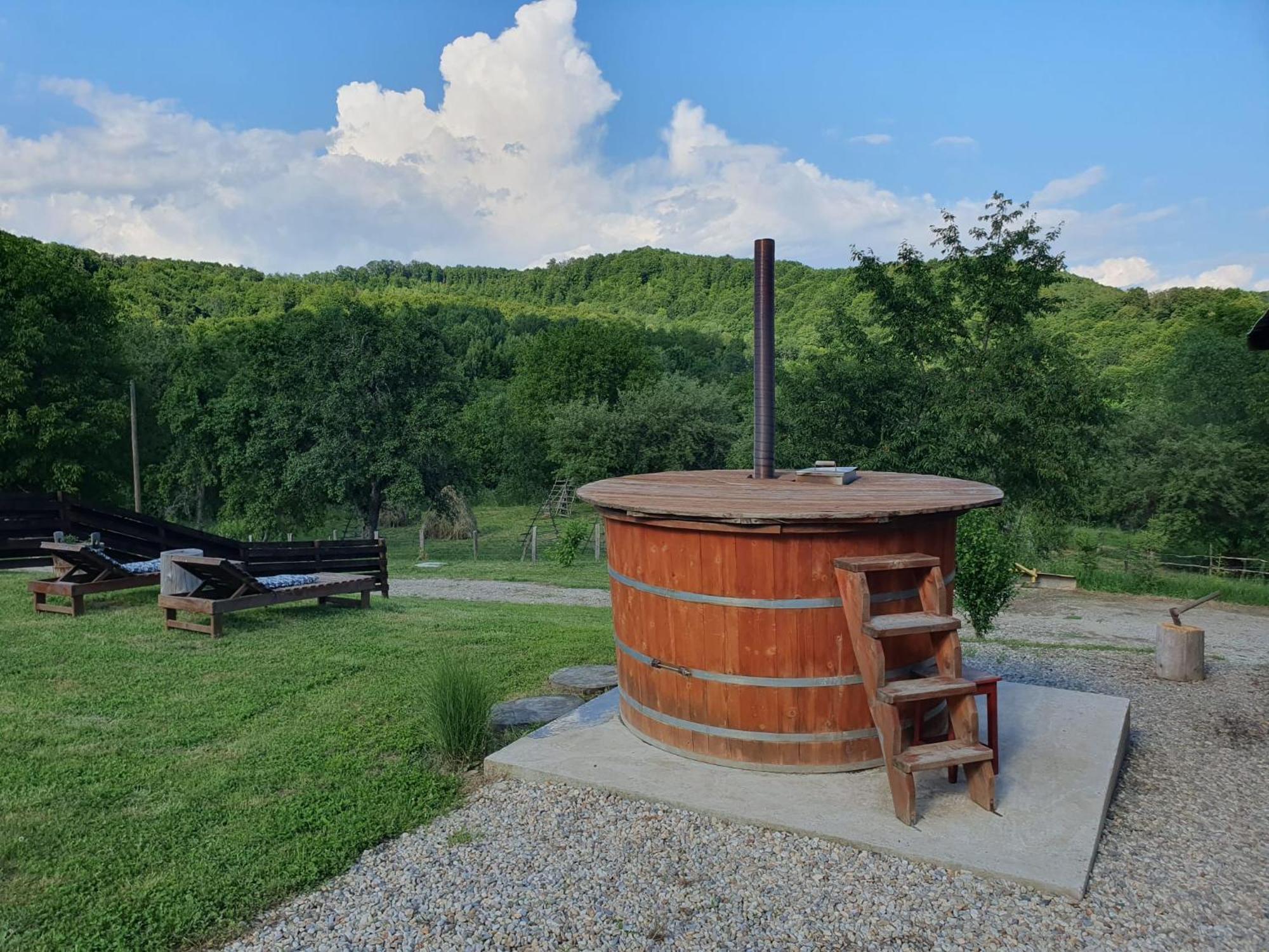 Cabana Valea Lui Mas Robaia Экстерьер фото