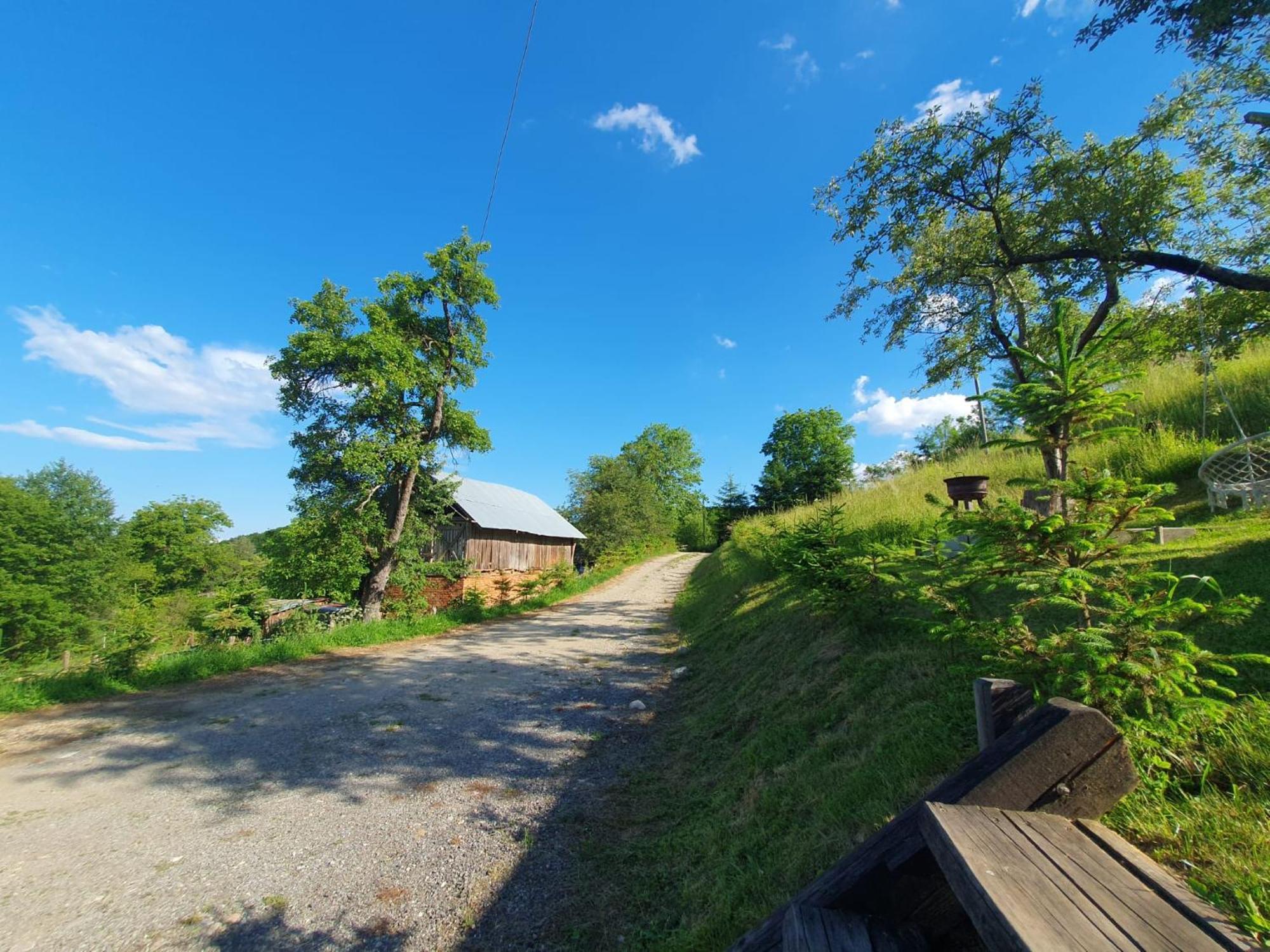 Cabana Valea Lui Mas Robaia Экстерьер фото