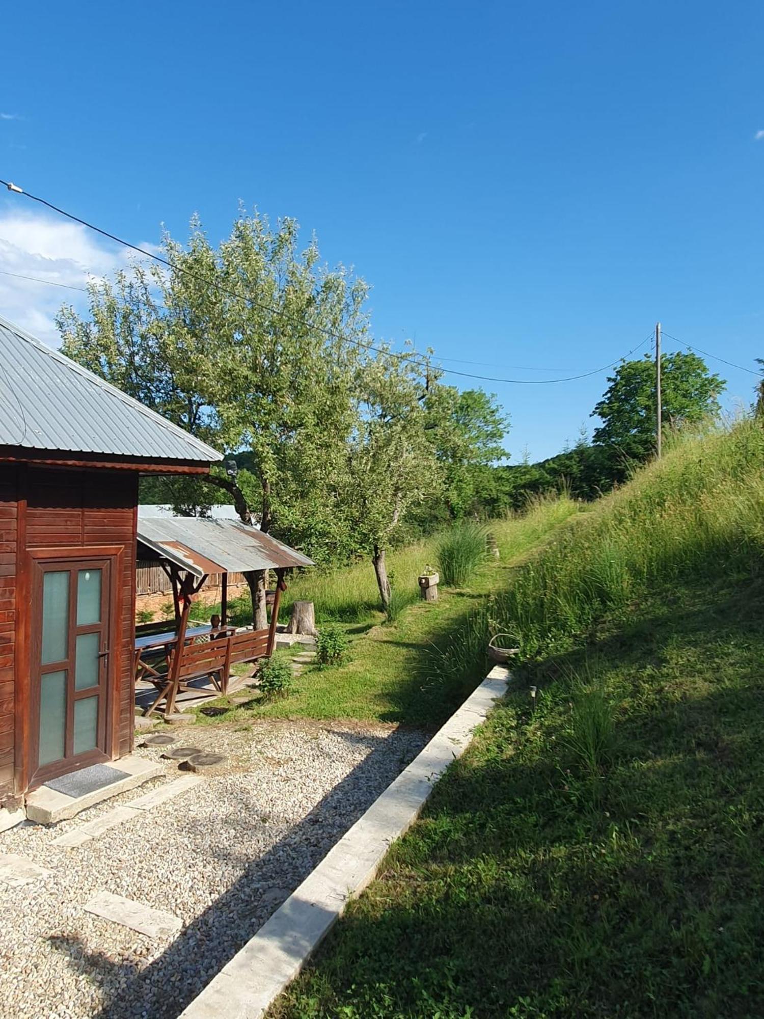 Cabana Valea Lui Mas Robaia Экстерьер фото